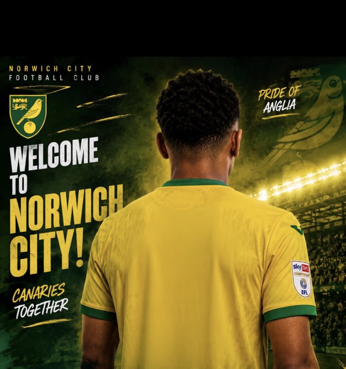 Read more about the article 𝗕𝗥𝗘𝗔𝗞𝗜𝗡𝗚: Norwich City Agree Deal for Rising Championship Star as Canaries Strengthen Promotion Push!